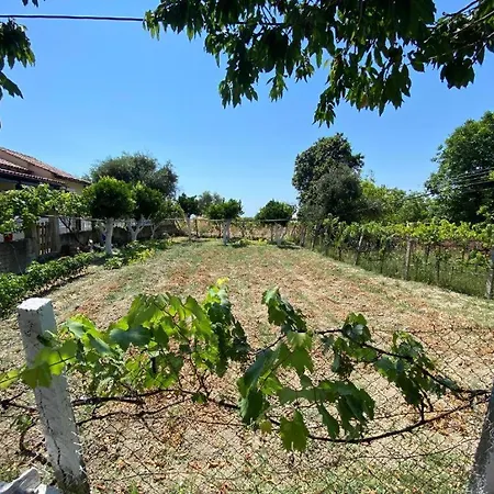 Appartamento Lemon Tree